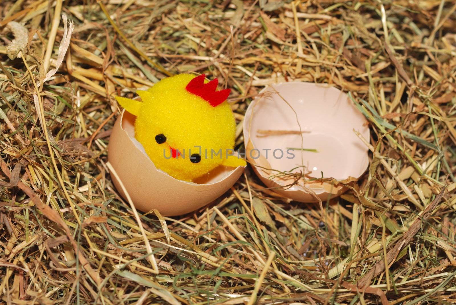 Toy chick hatching by pauws99