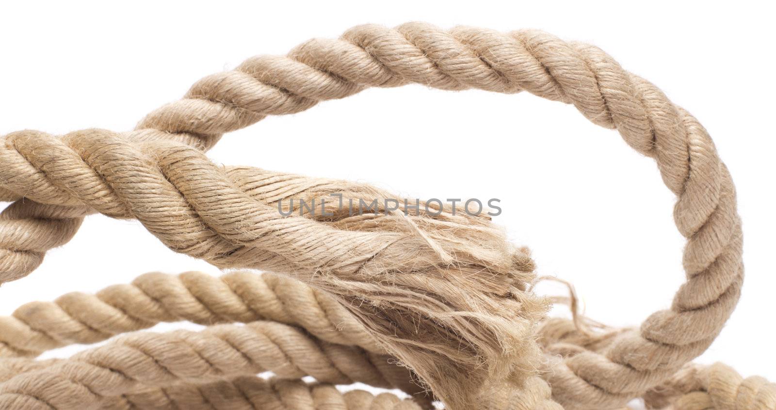 ship rope and knot isolated on white background