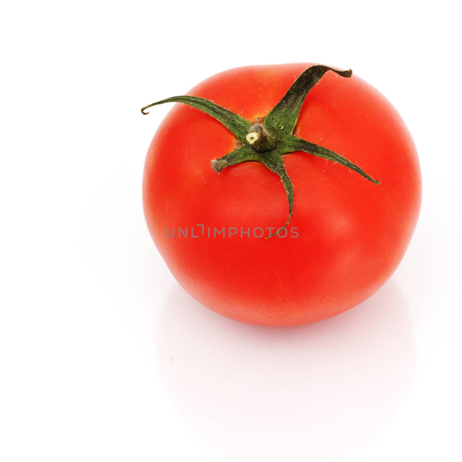 one tomato isolated on white