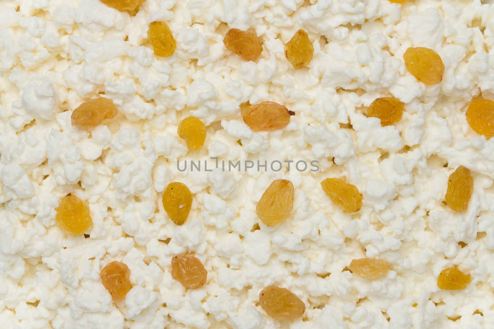  cheese background with raisins