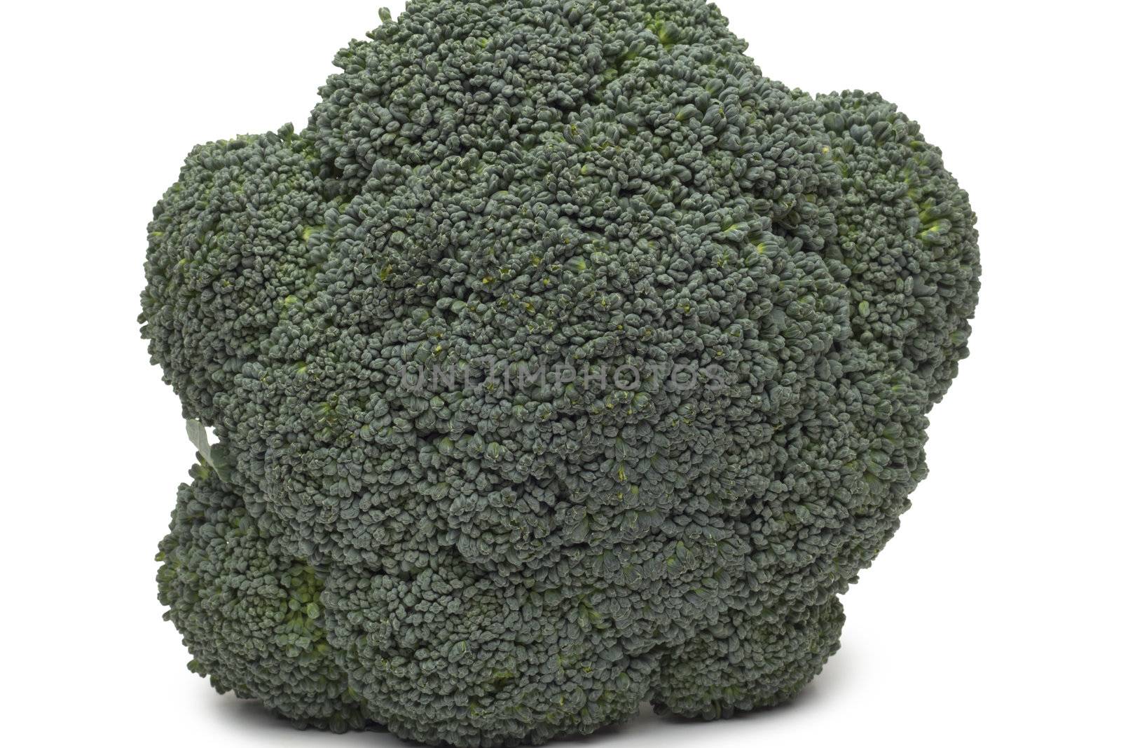 Broccoli isolated on white background