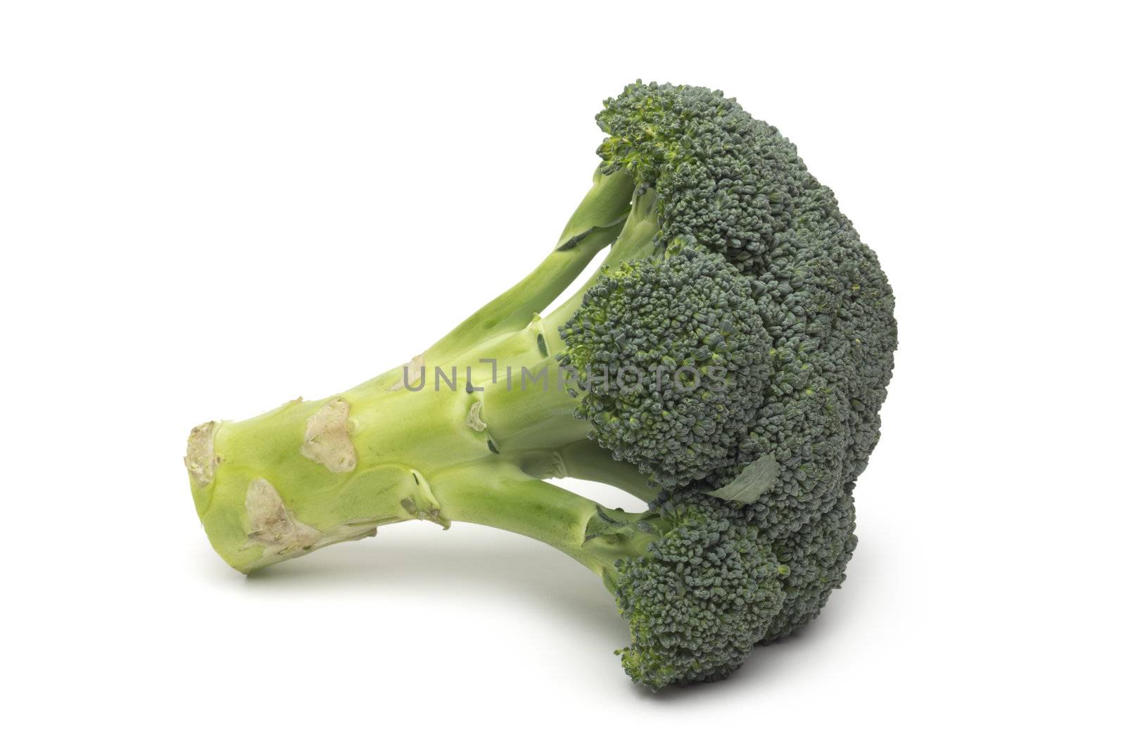 Broccoli isolated on white background