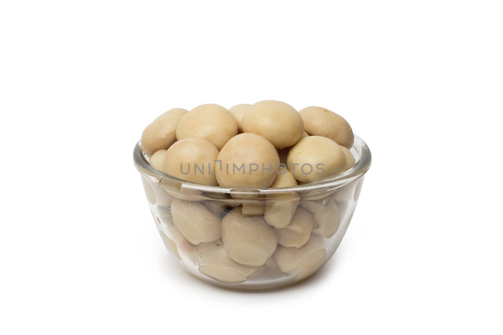 A small dish of tasty canned sliced mushrooms.