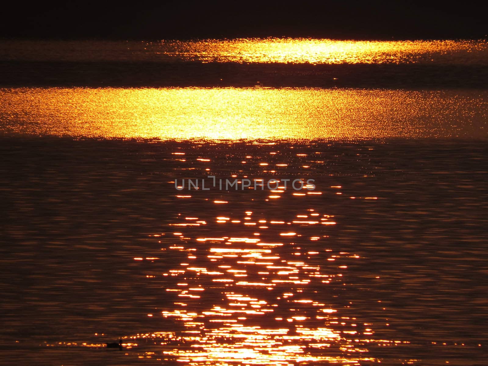 A backgrond of the water in a lake reflecting the bright golden sunlight.                               