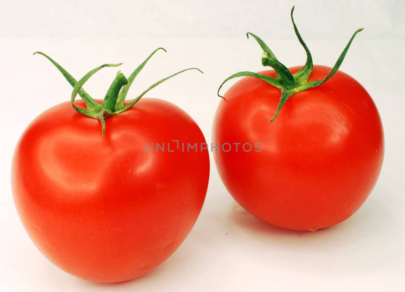 two tomatos on the white background