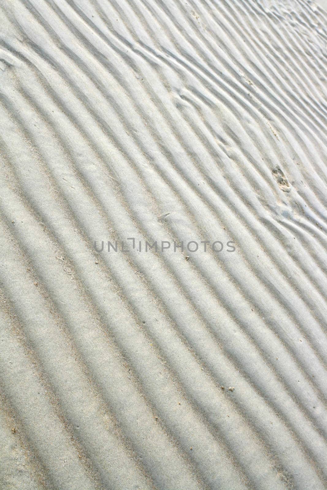Sand Beach hBackground