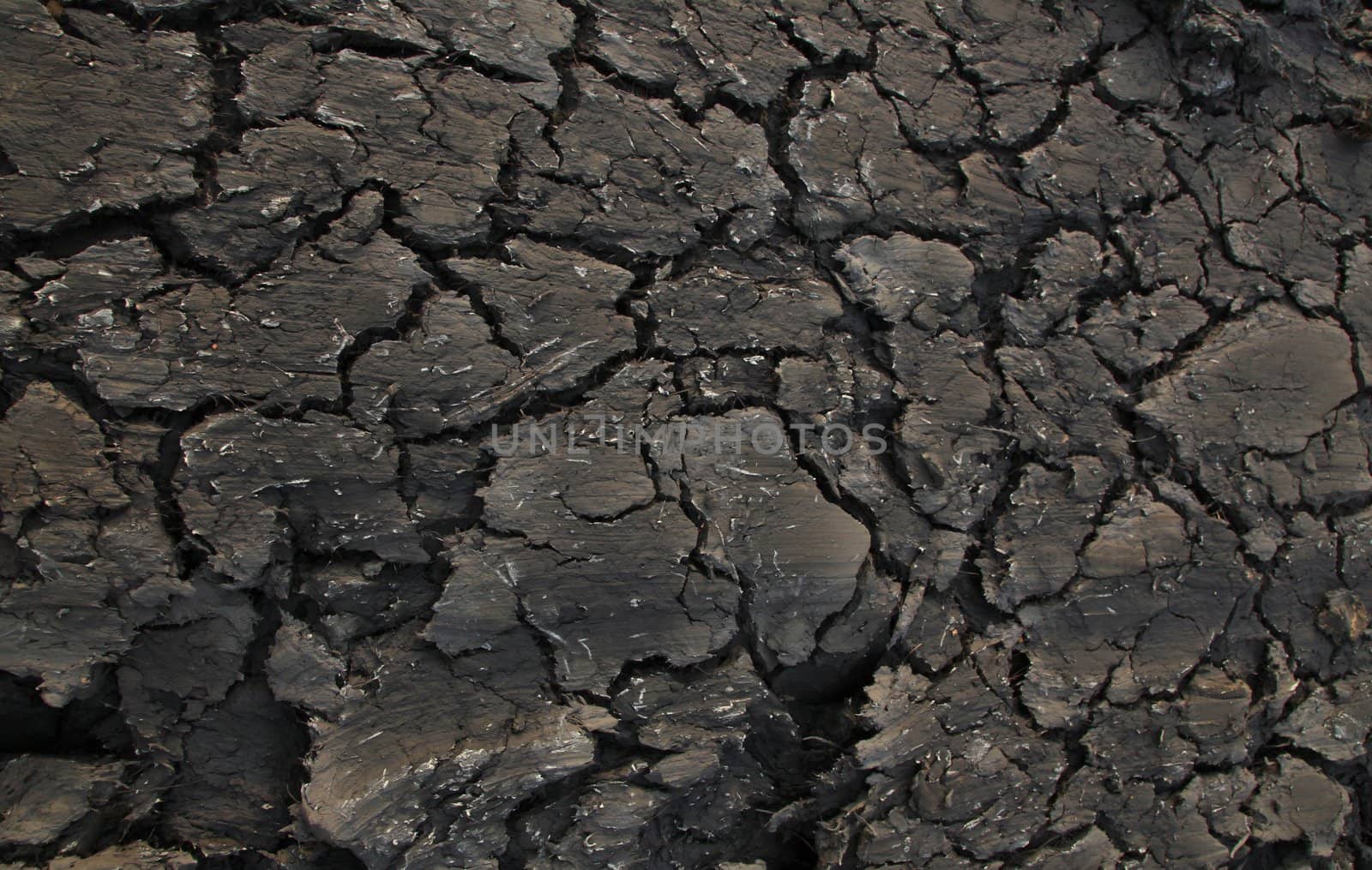 black cracked terrain filling the frame as background