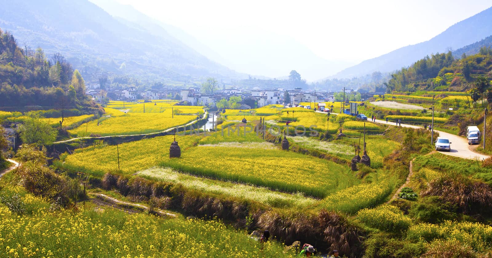 Rural landscape in Wuyuan, Jiangxi Province, China.