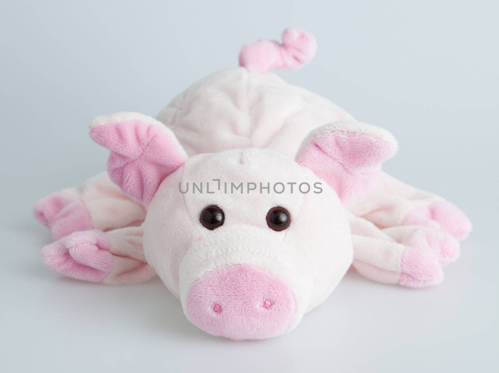 Stuffed pink piggy by Izaphoto