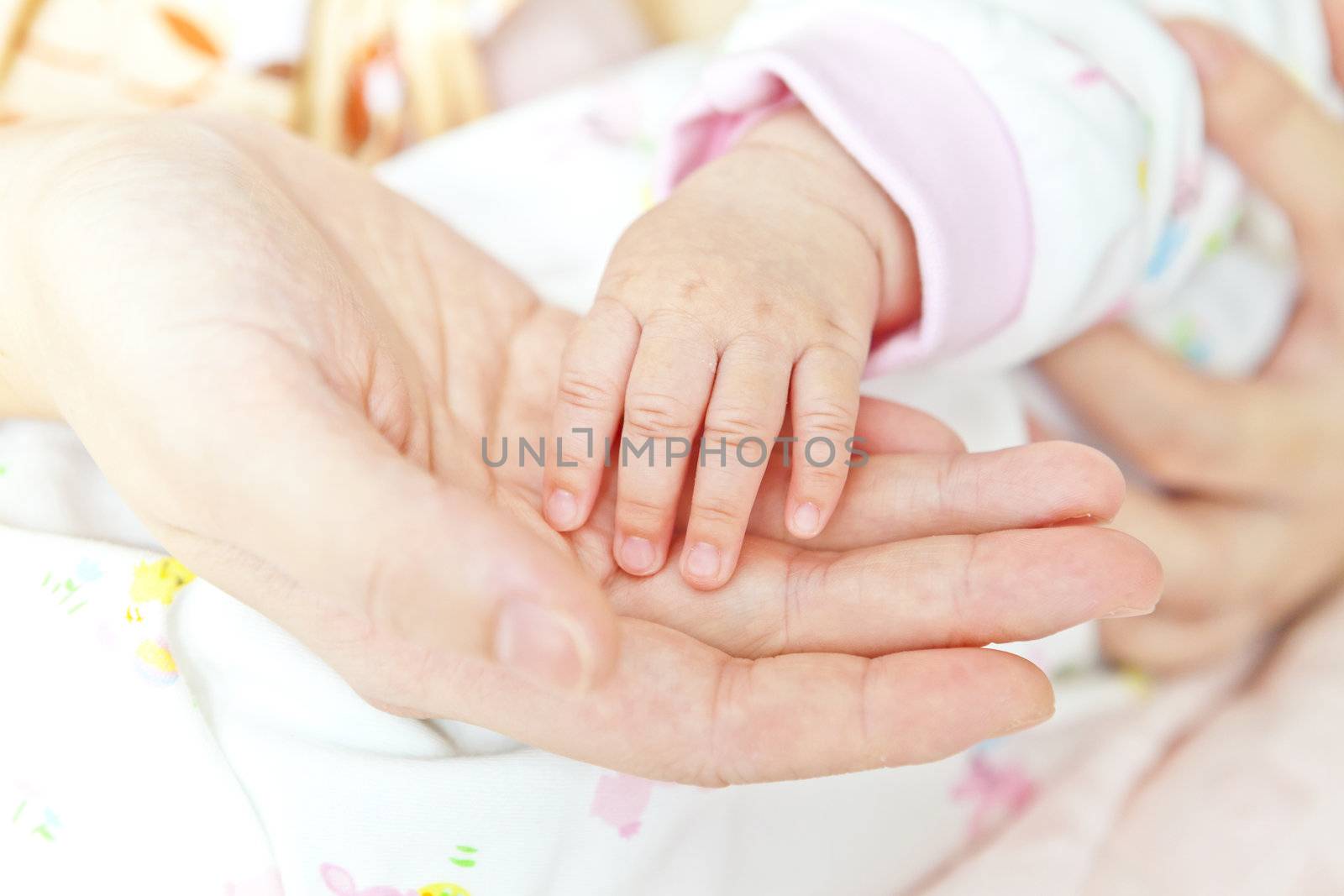 Close-up of baby's hand holding mother's hand