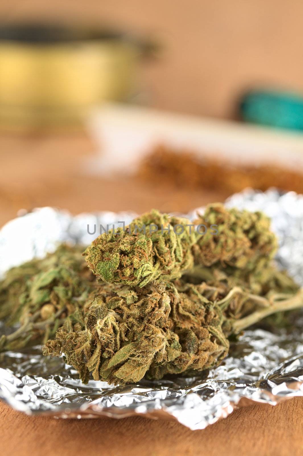 Dried flowers of Cannabis sativa on tinfoil (Selective Focus, Focus on the front of the two heads in the front) 