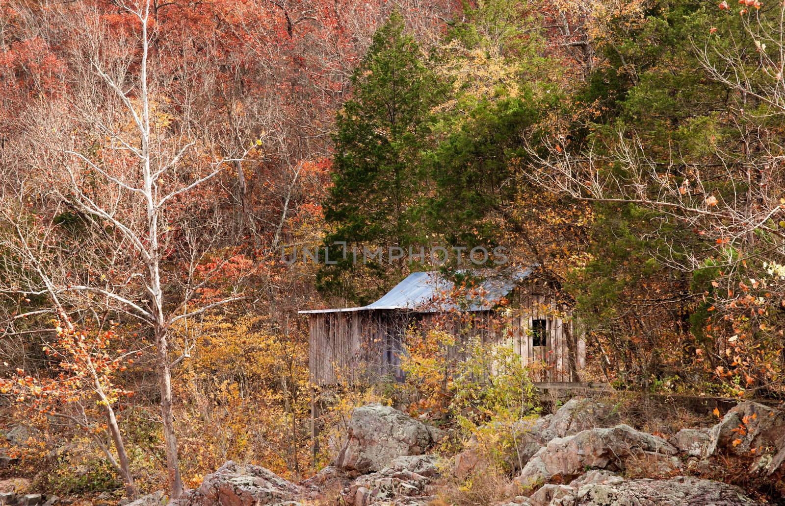 old settlers cabin in the forest by clearviewstock
