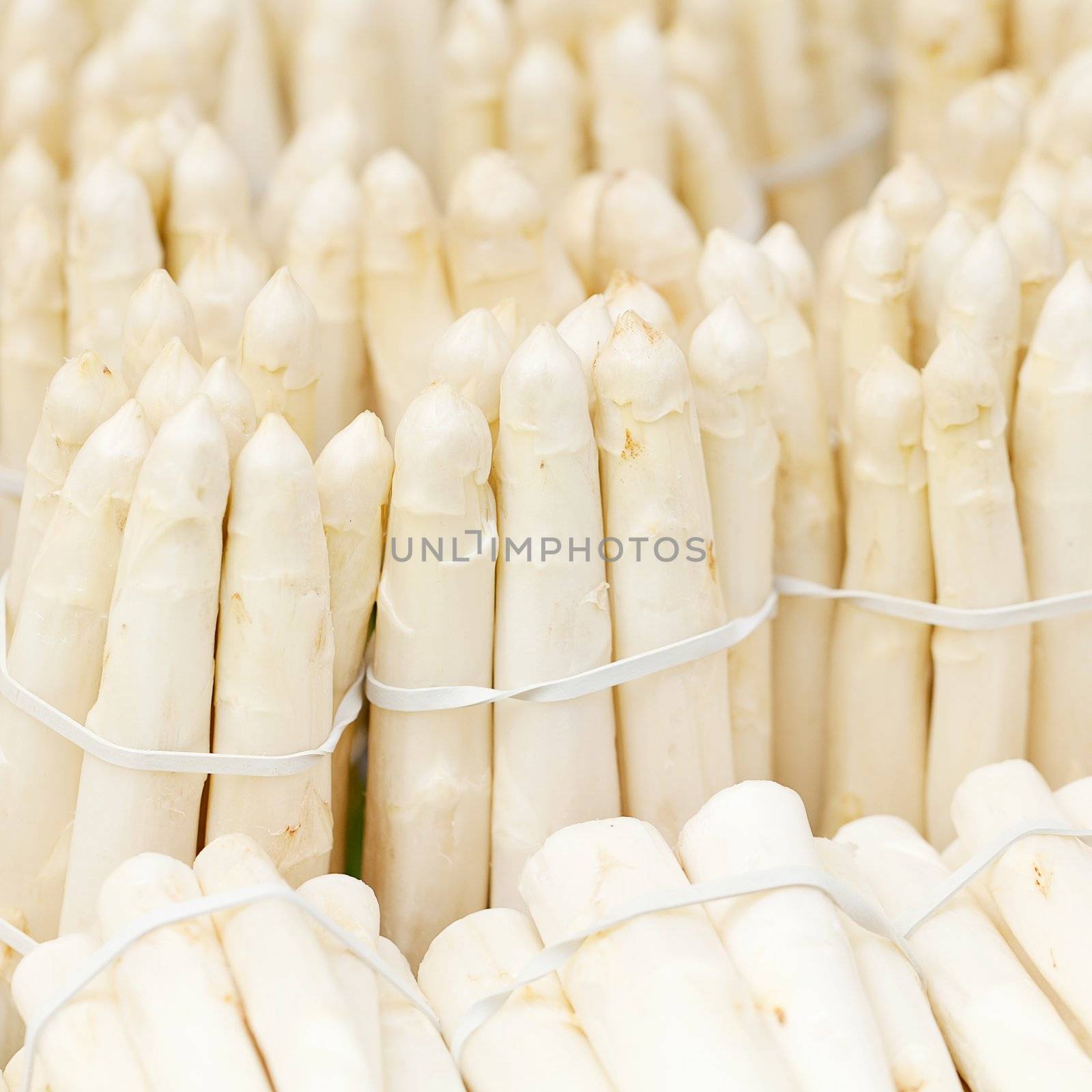 collection of fresh seasonal asparagus vegetable on market 