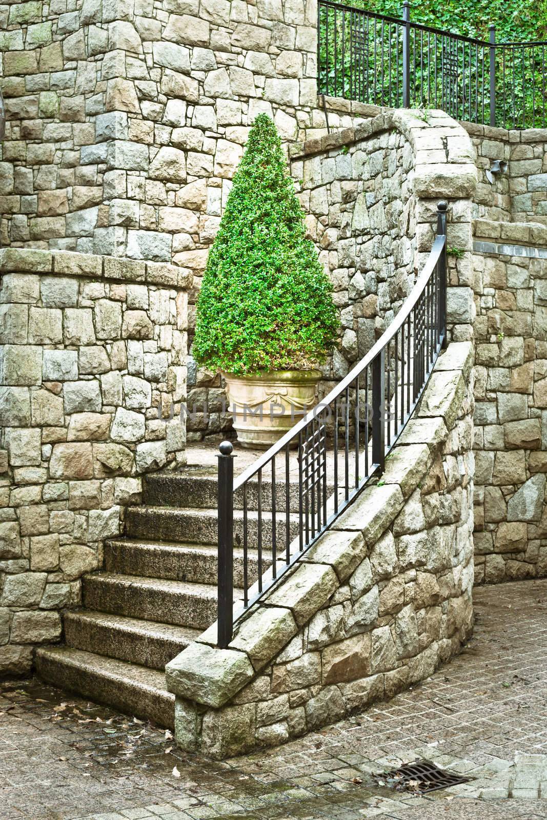 A topiary plant at the top of stone steps