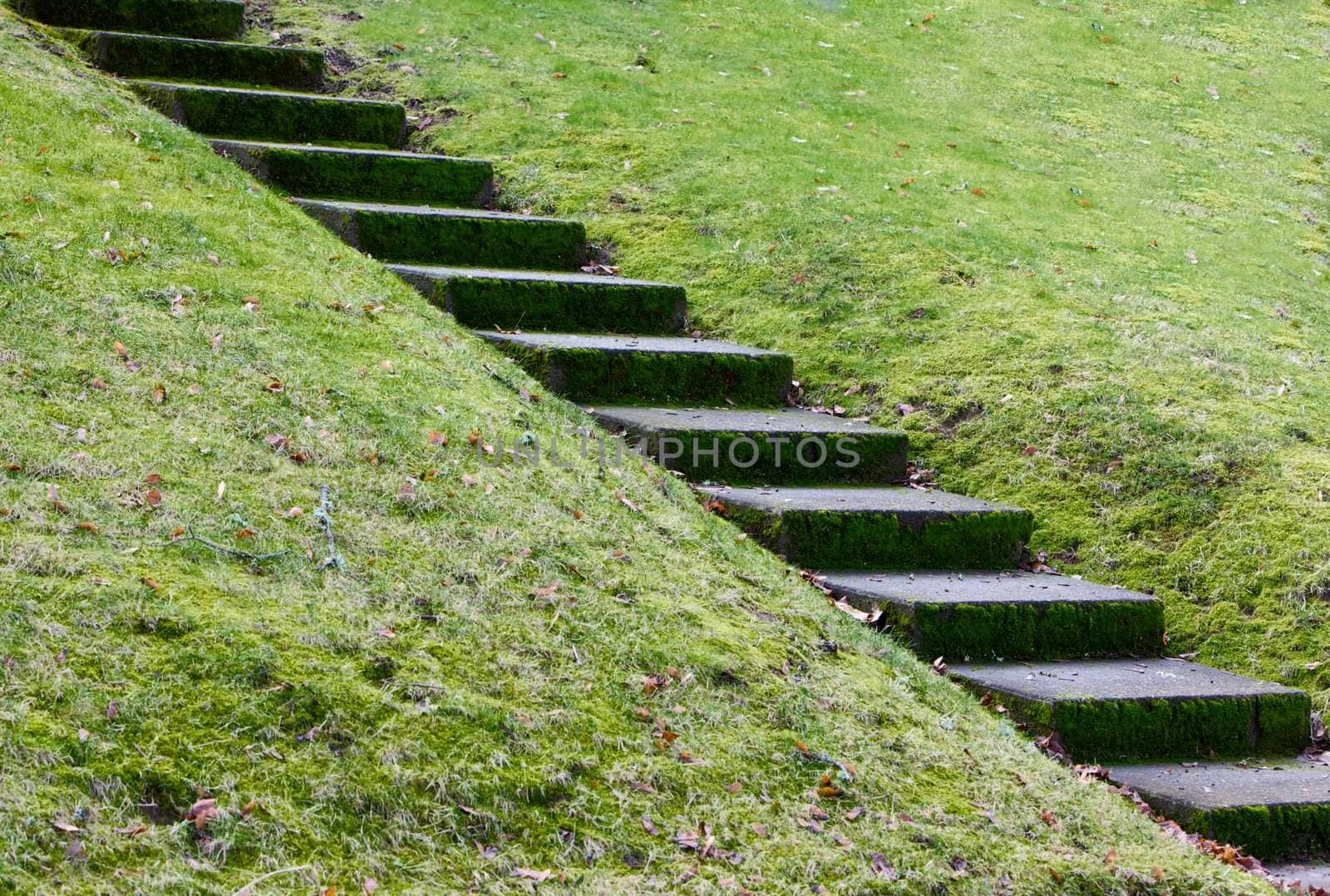 Diagonal concrete steps by bobkeenan