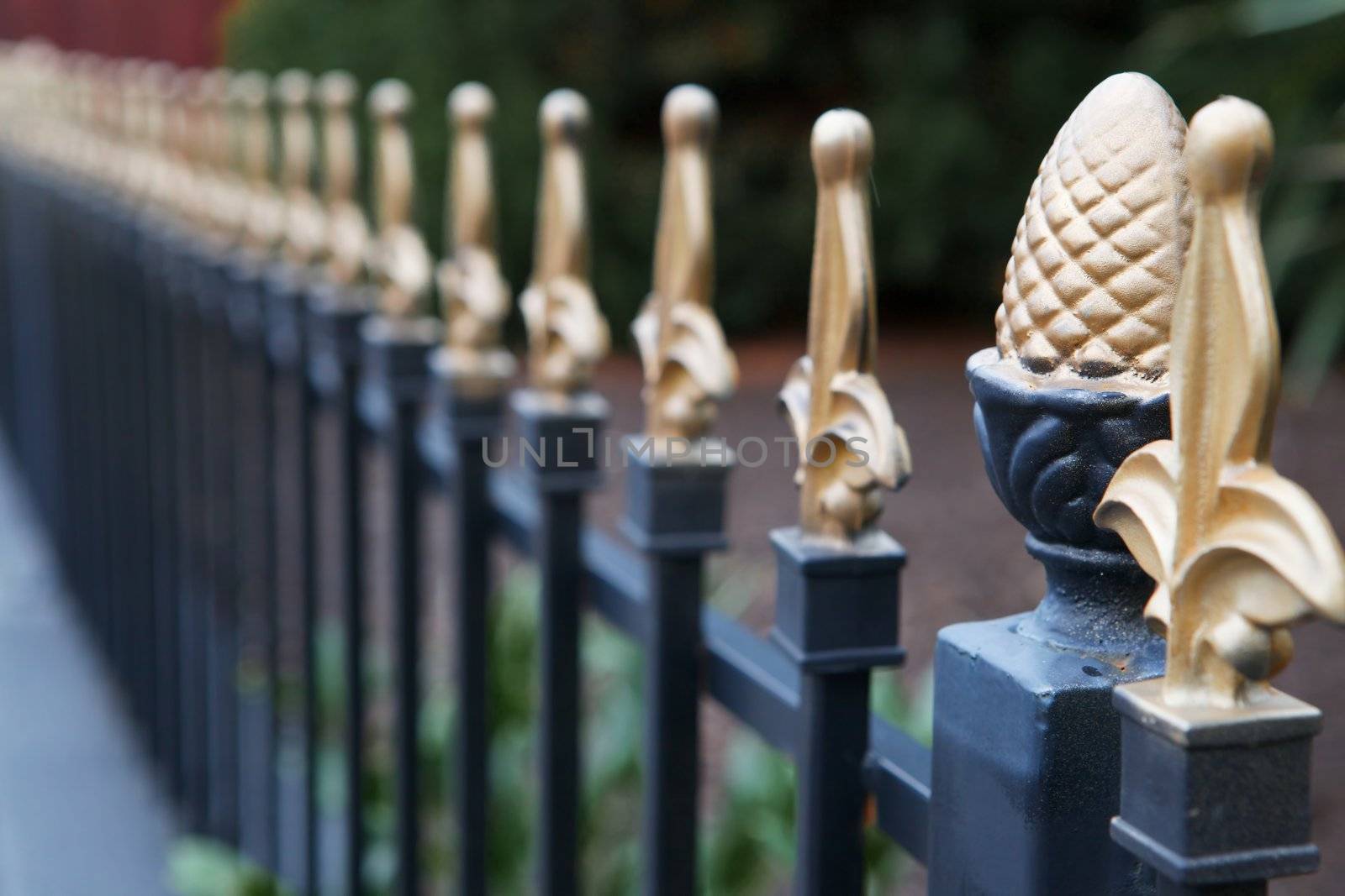 Narrow depth of field view of a black iron or steel fence with gold tips