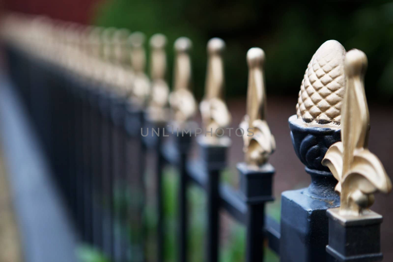 Gold tipped Iron fence narrow DOF by bobkeenan