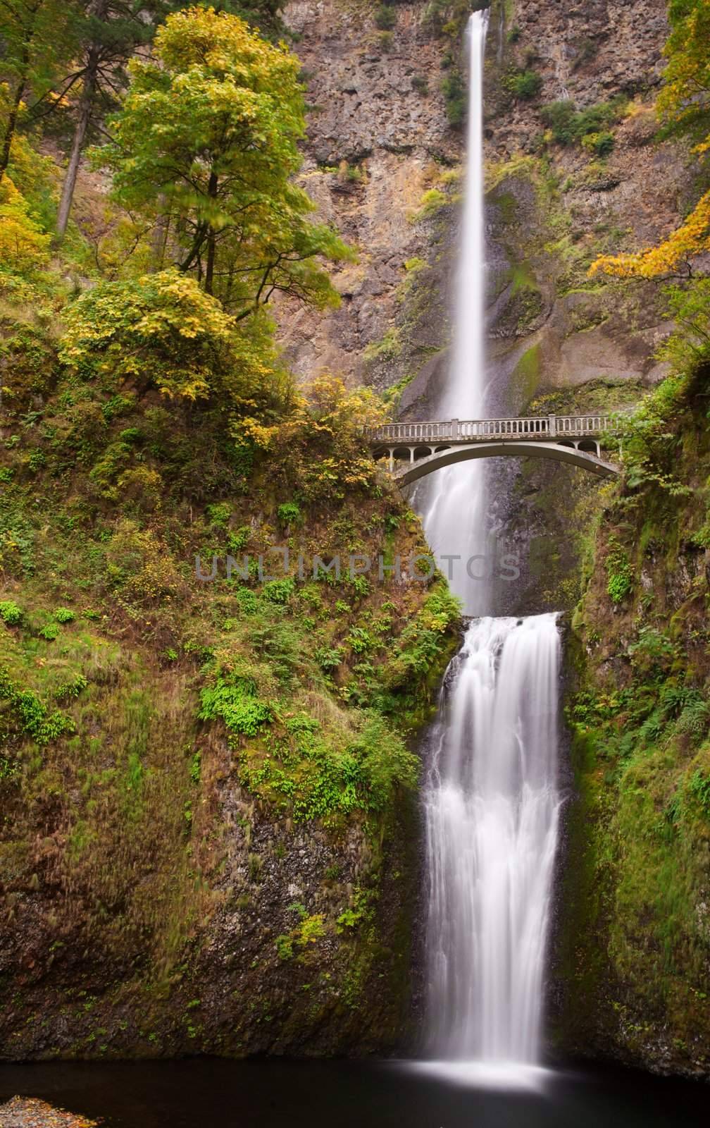 Frothy long exposure image of Multnomah falls in Portland Oregon