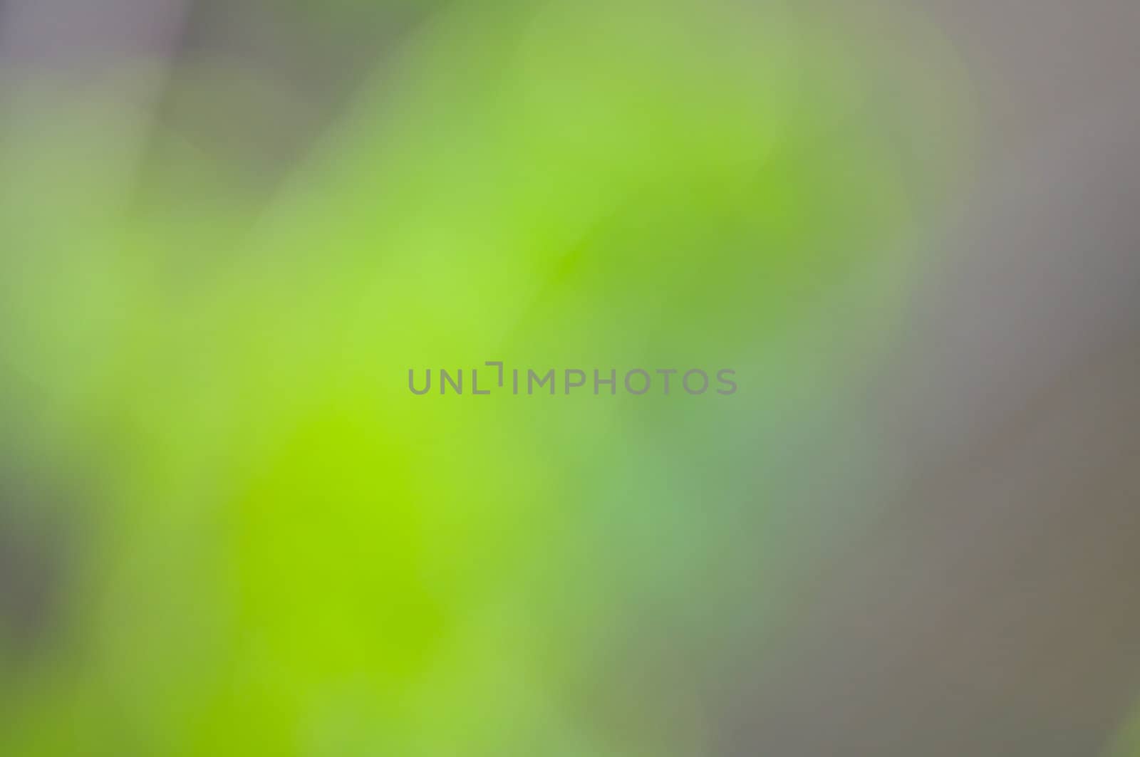 Defocus of green background by buffaloboy