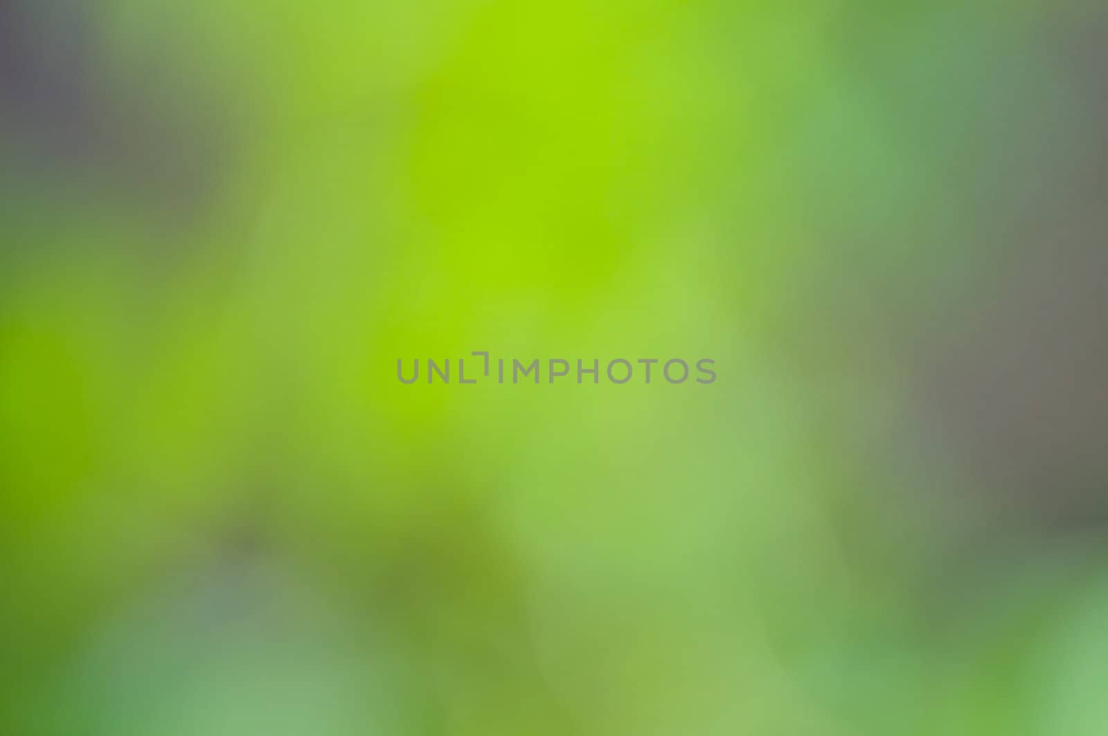 Defocus of green background by buffaloboy