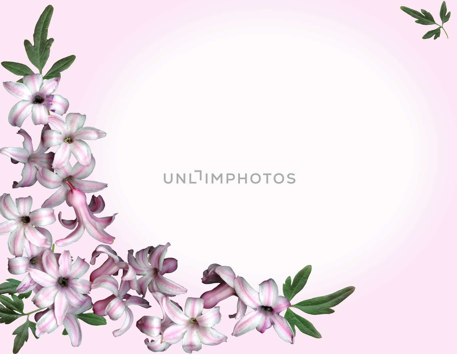 A background of pink flowers and foliage for your message