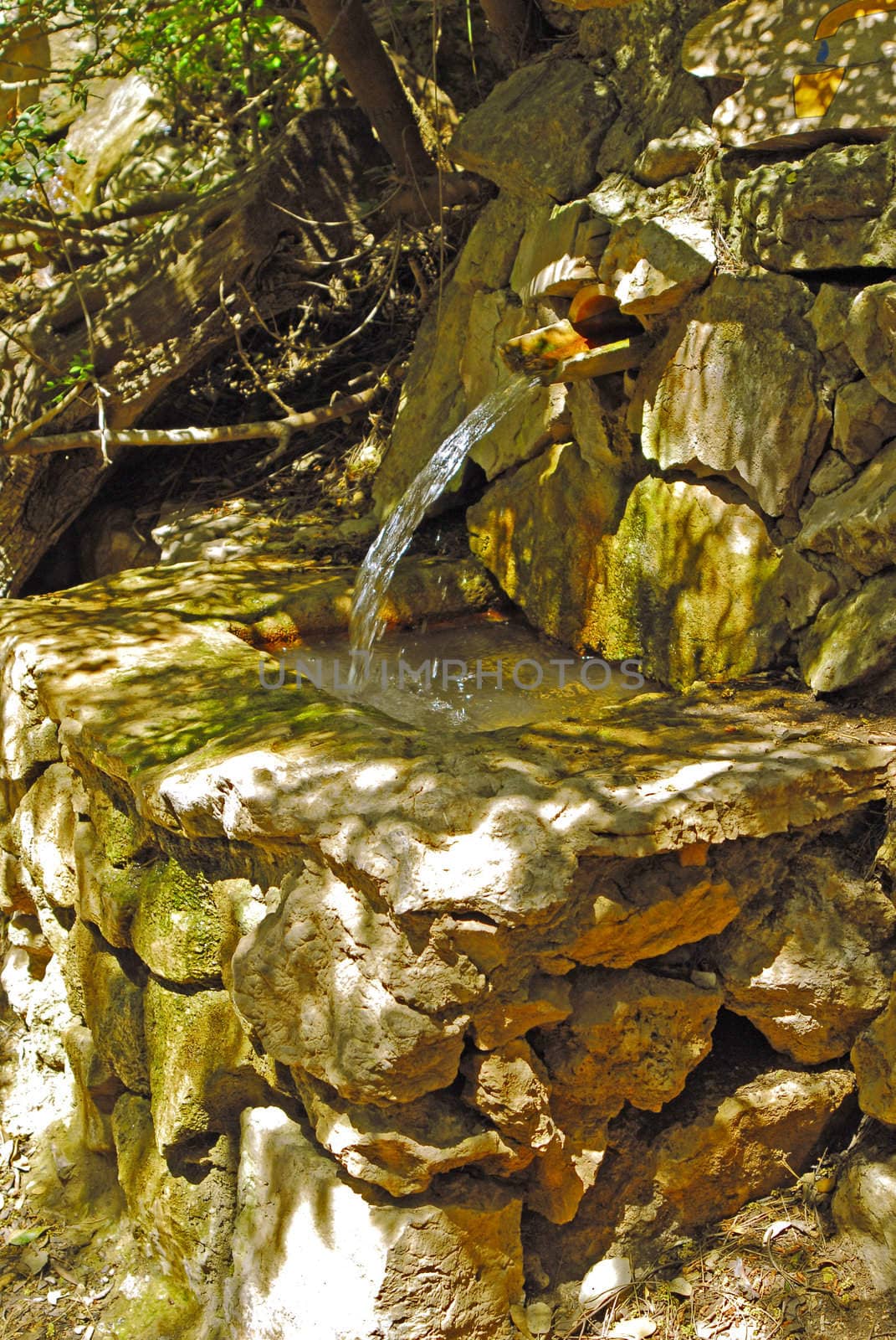 spring fountain antique by severija