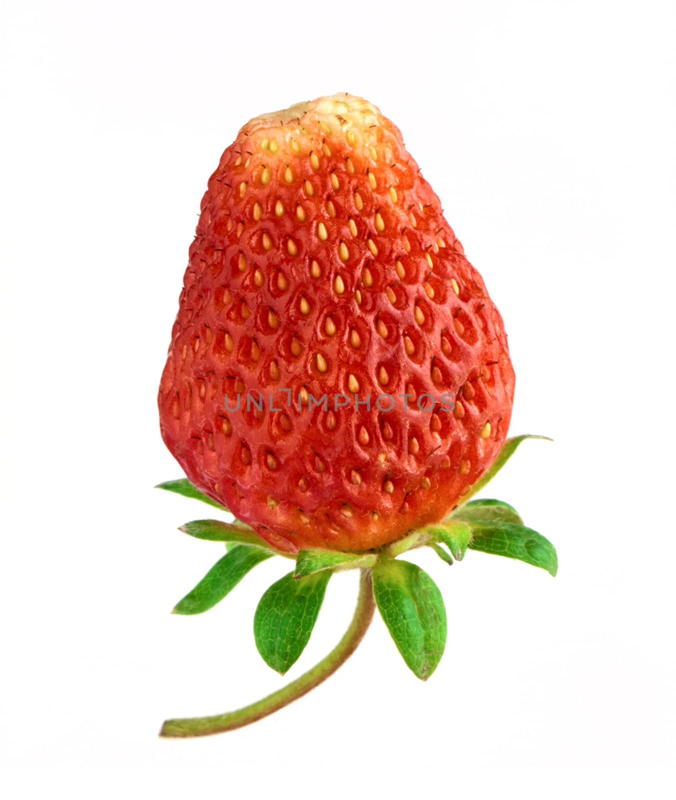 Red strawberry isolated on white background