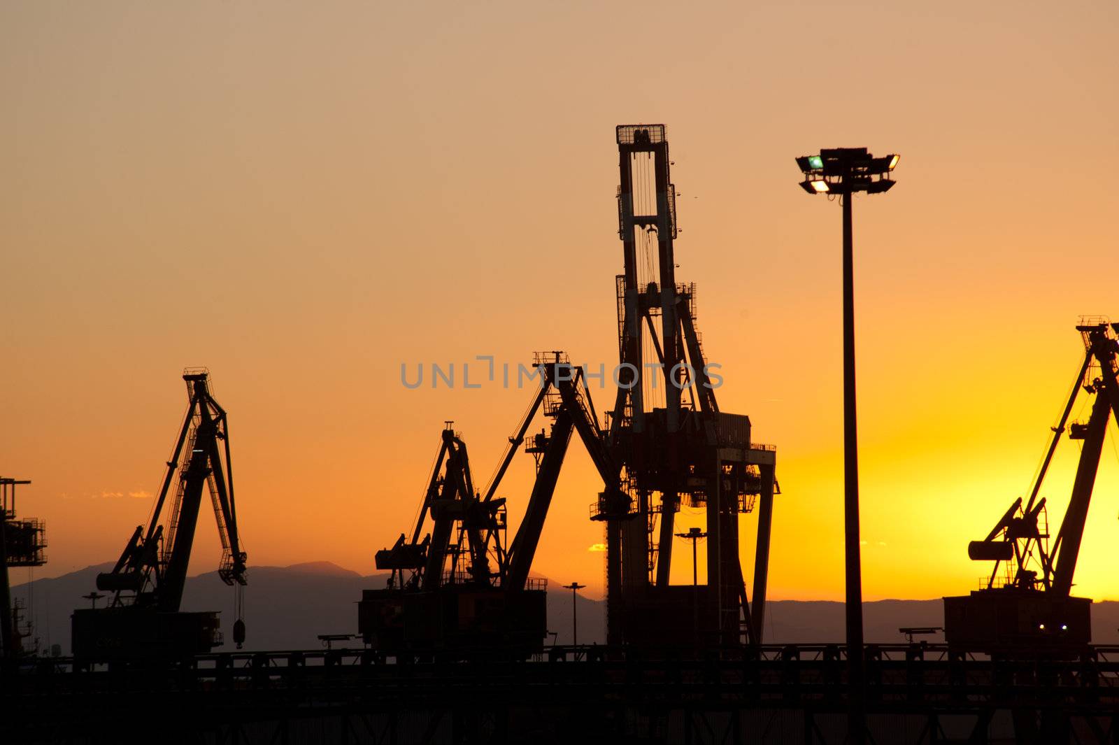 cranes on the quay in the Taranto port