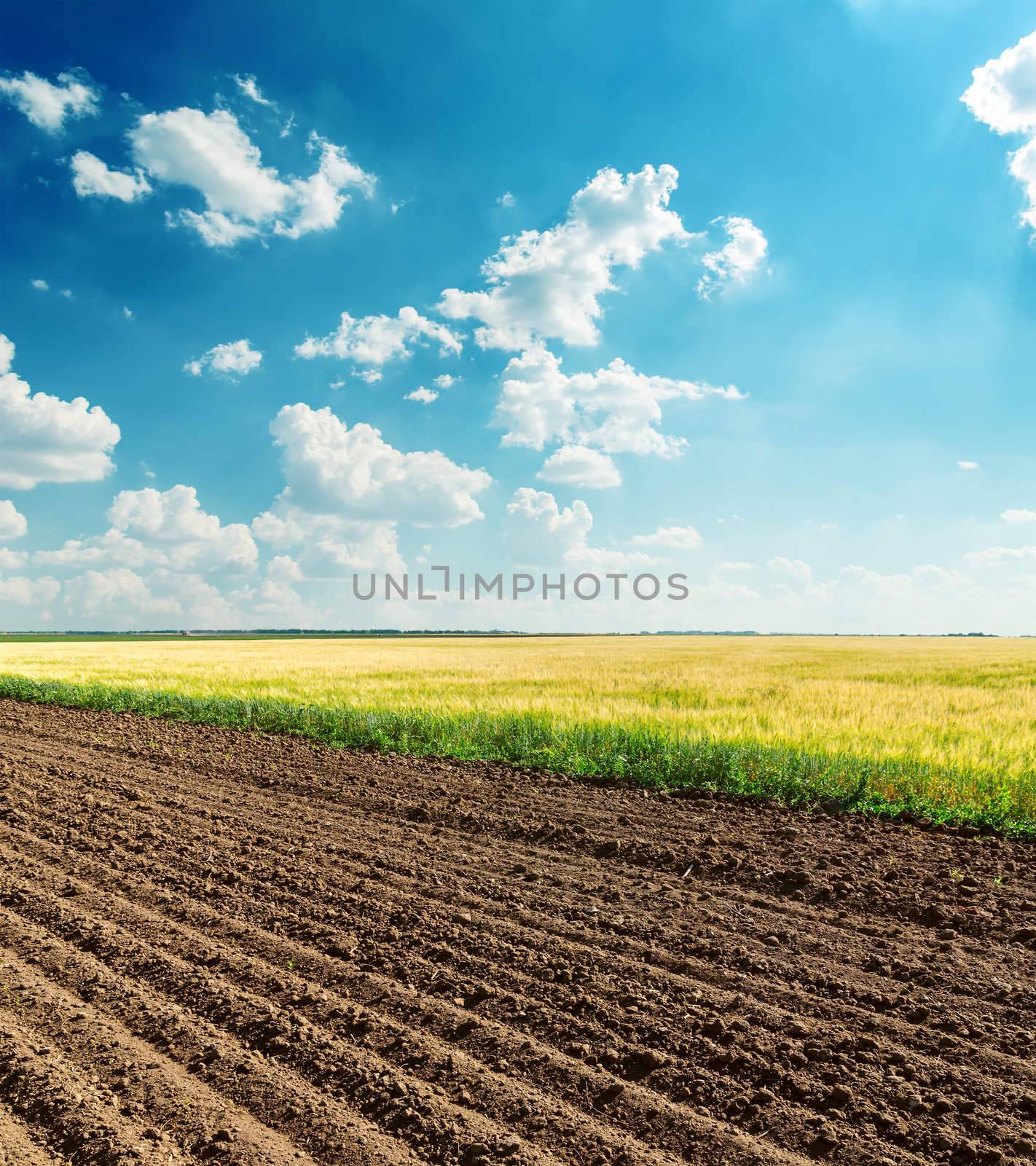 black and green fields under cloudy sky by mycola