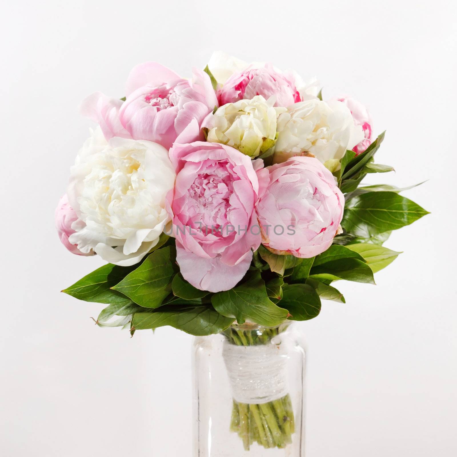 Rich bunch of peonies by shebeko