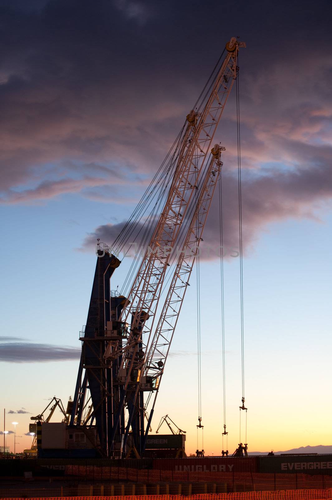 cranes on the quay in the Taranto port