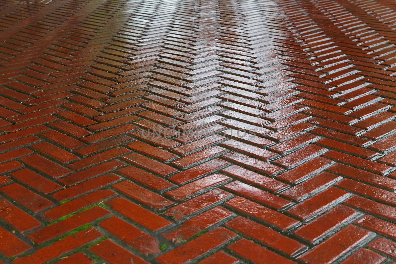 Herring bone red brick road after a rain