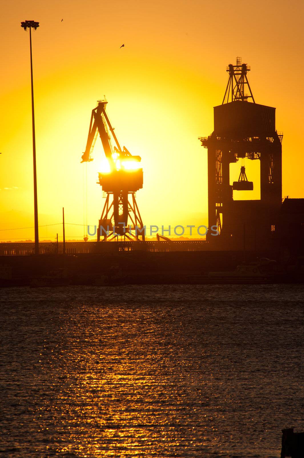 cranes on the quay in the Taranto port