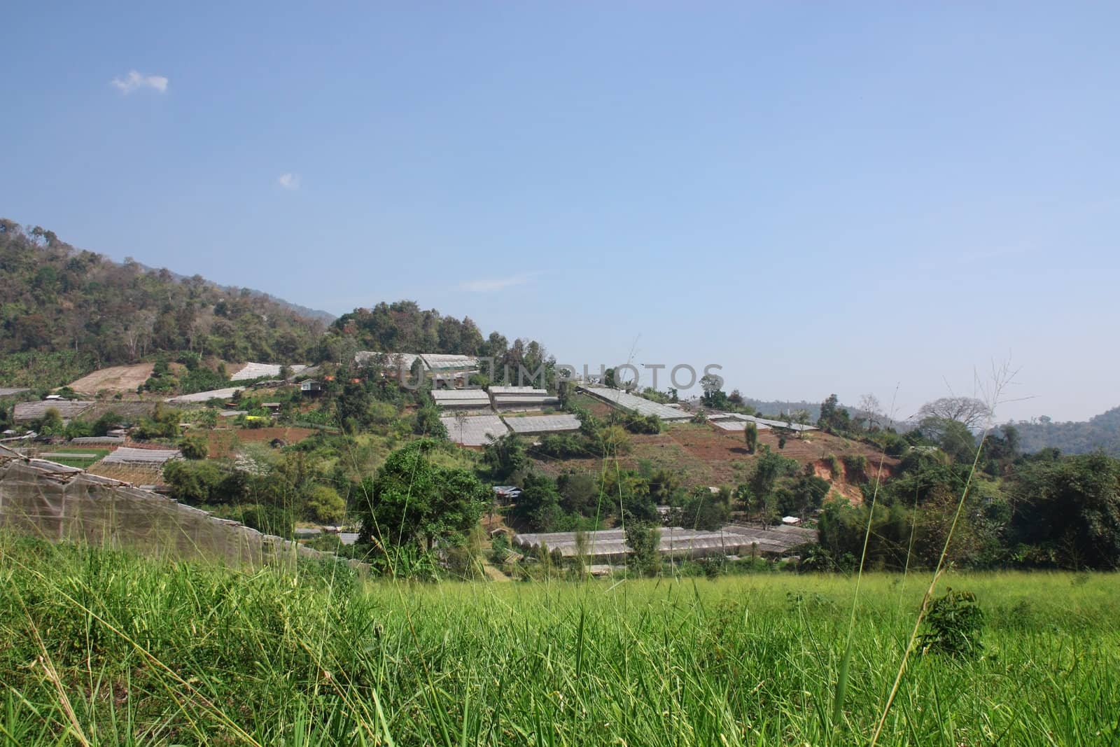 beautiful place in Thailand, the hills are visible greenhouses