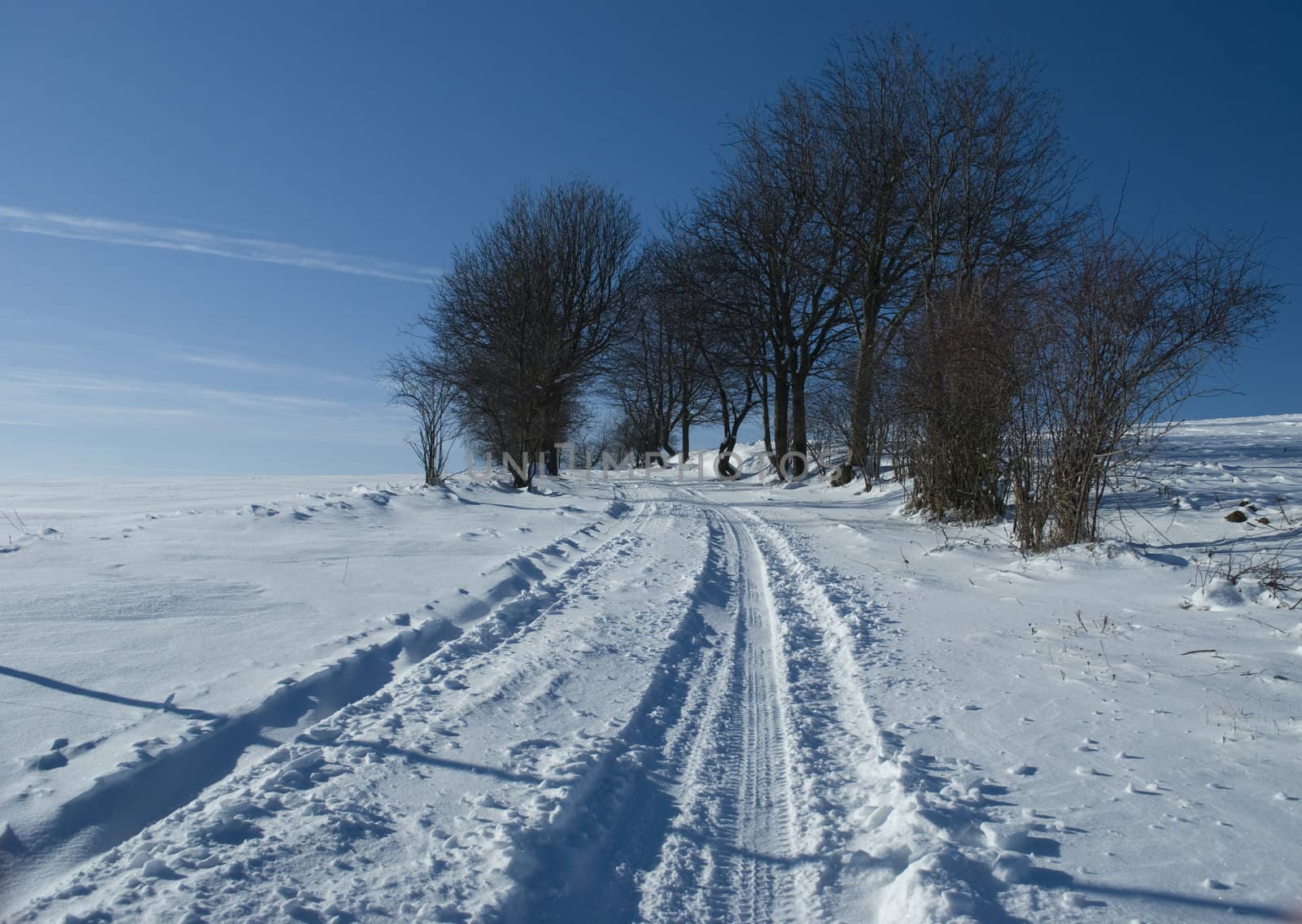 czech landscape in winter
