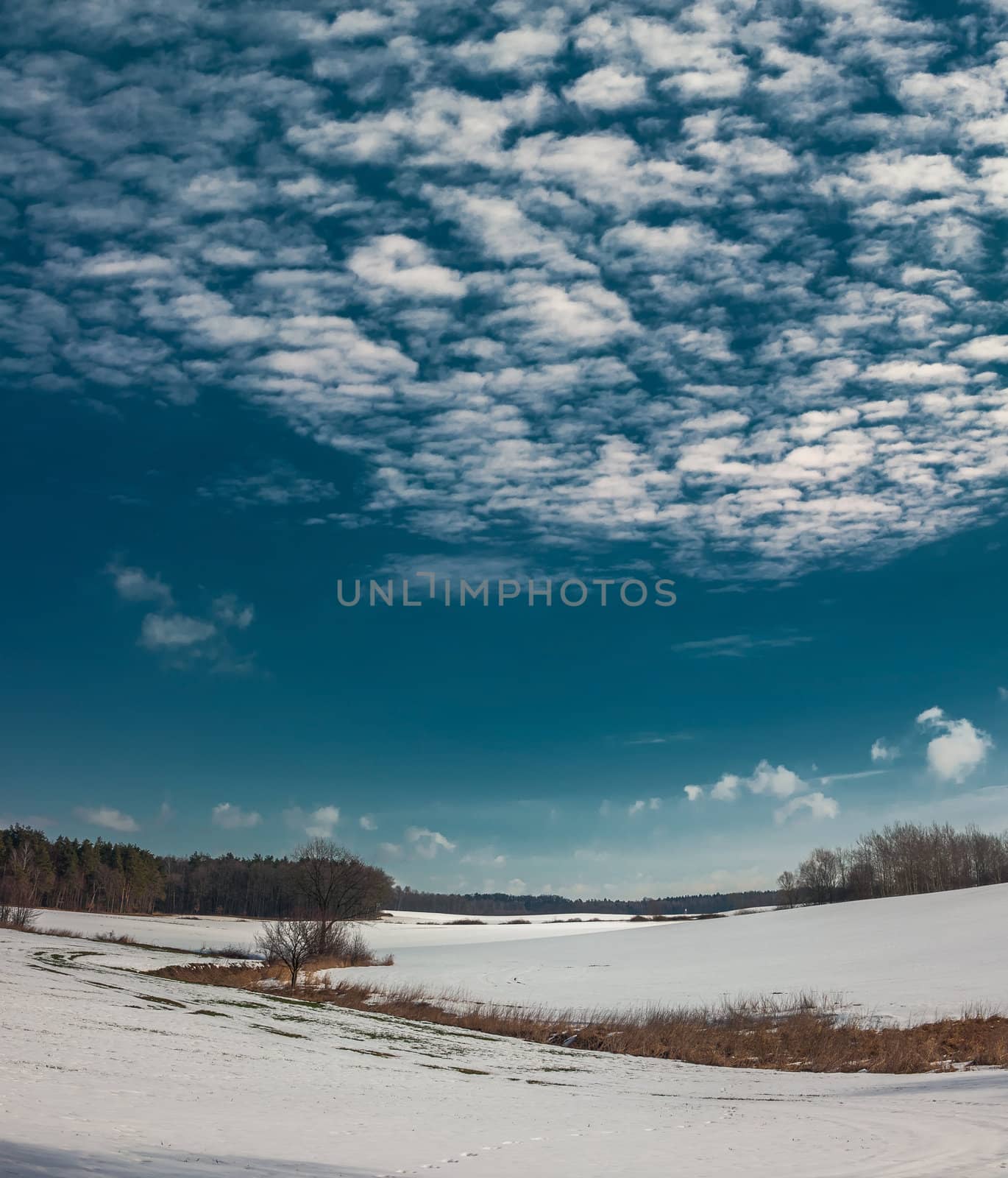 Winter field by Gucio_55