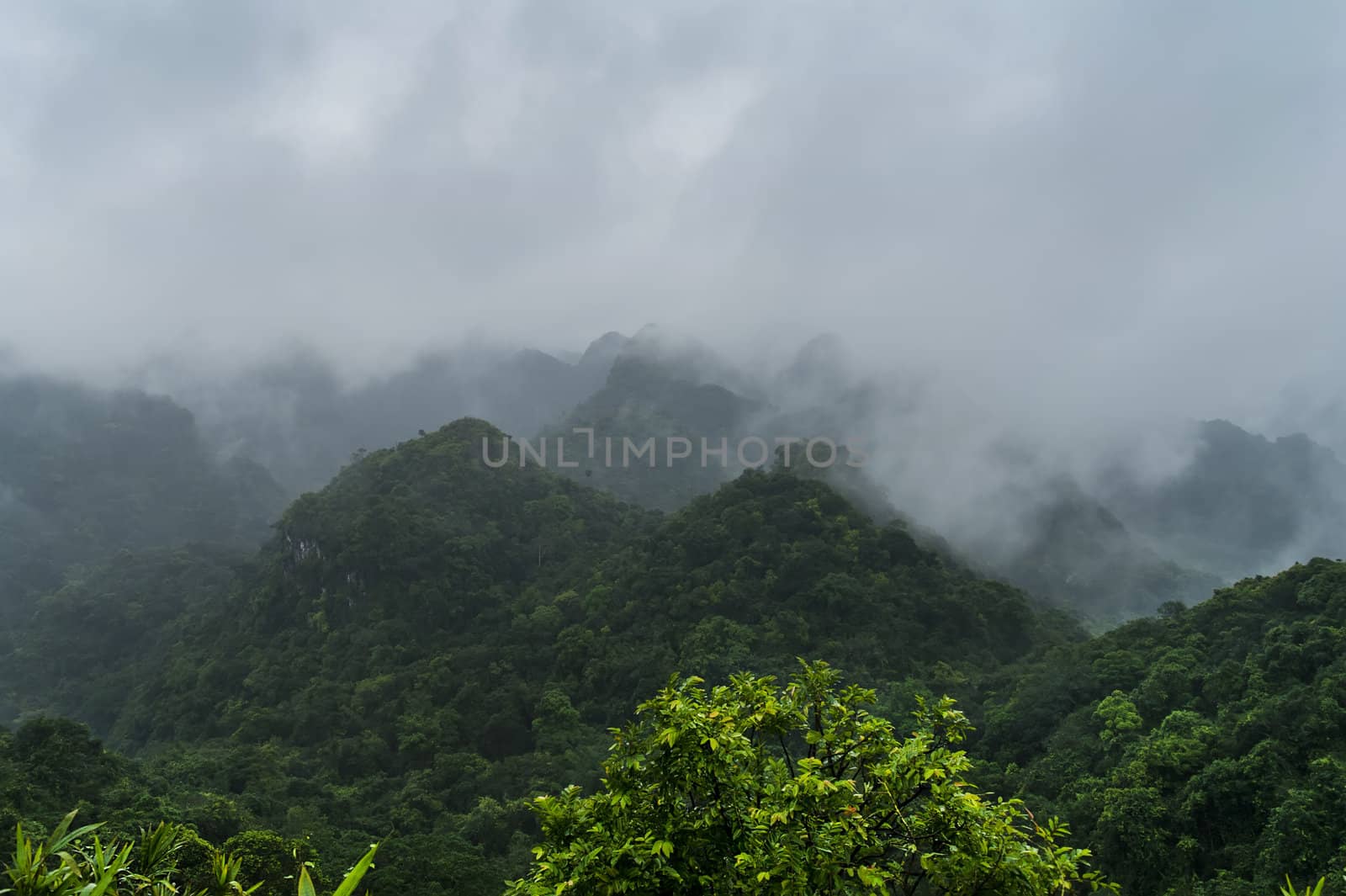 Peak in Cat Ba National Park. North Vietnam.