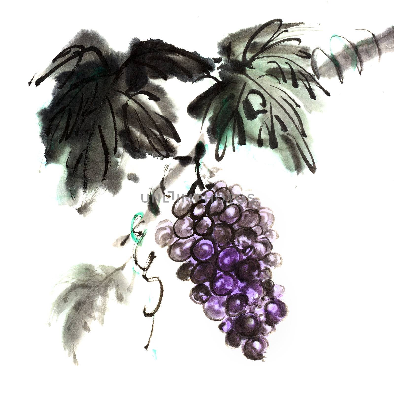 Chinese traditional ink painting of grapes by elwynn