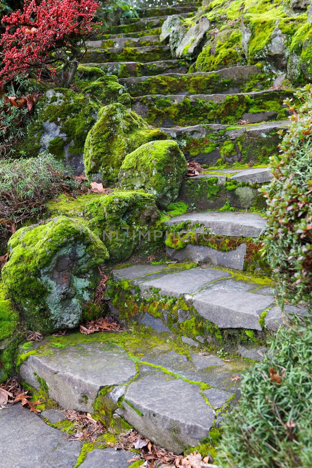 Moss covered Curvy stone staricase bordered by large rocks or boulders