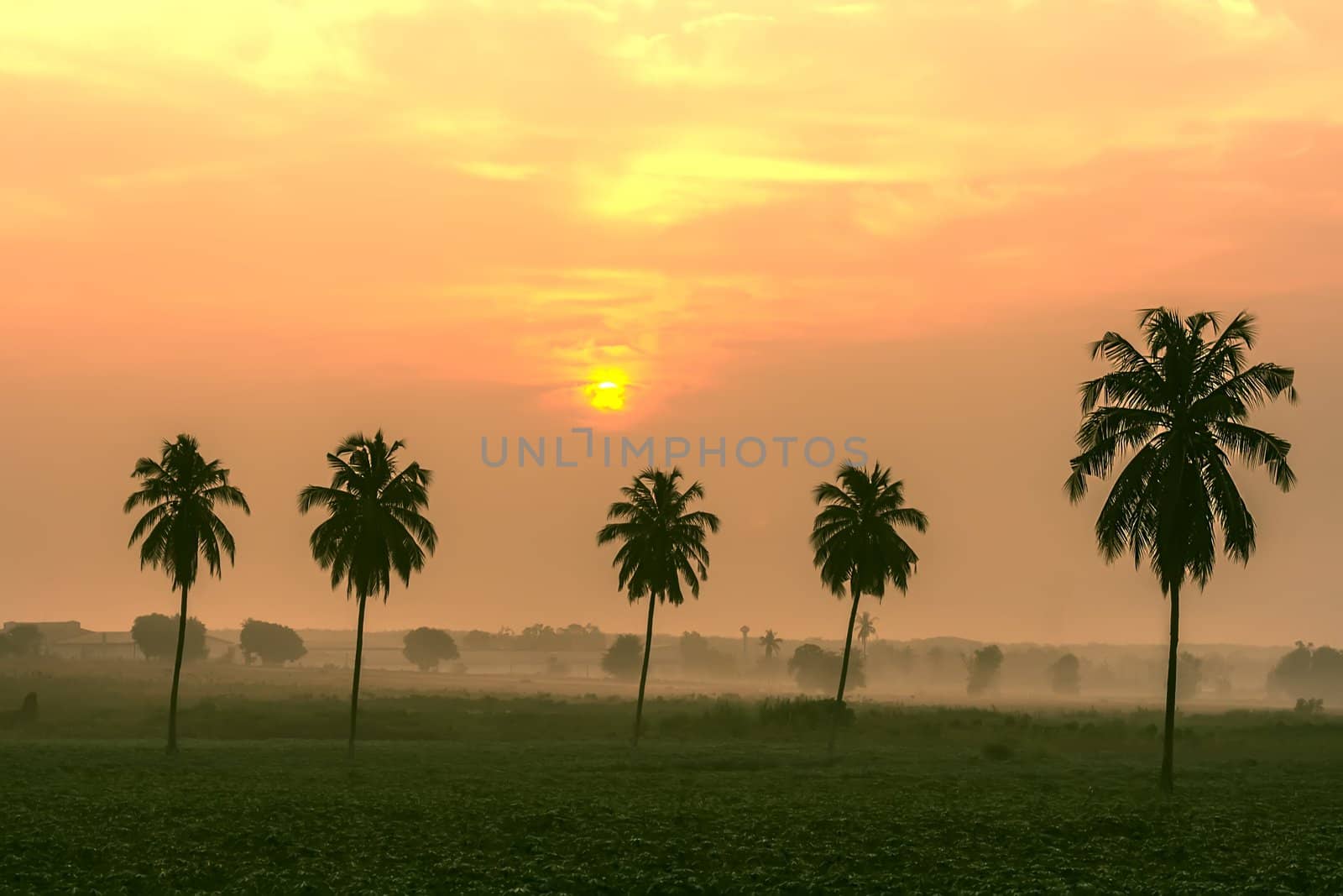 After Dawn. Chonburi Province, Thailand.