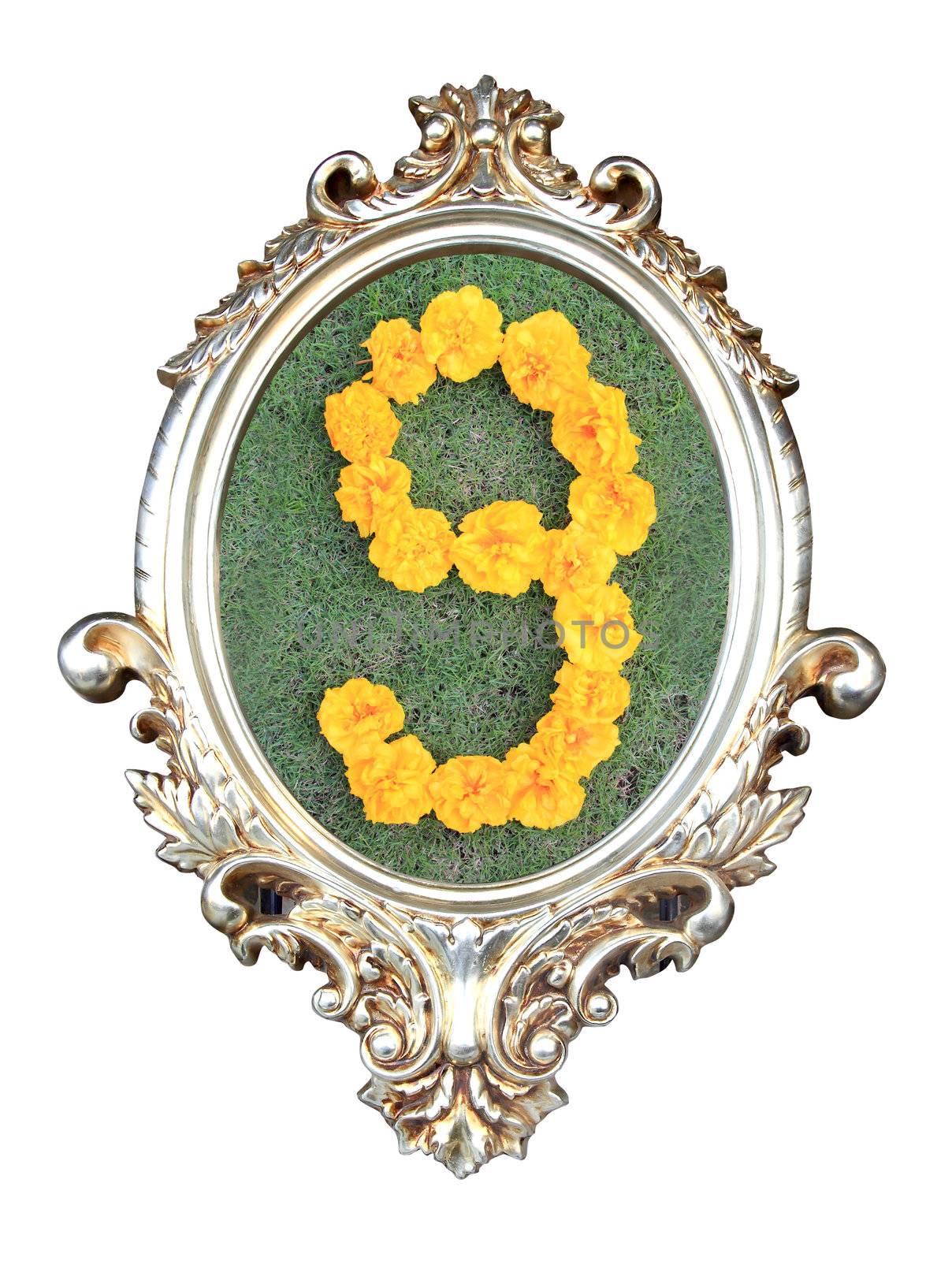 flowers number in a frame of on green grass background
