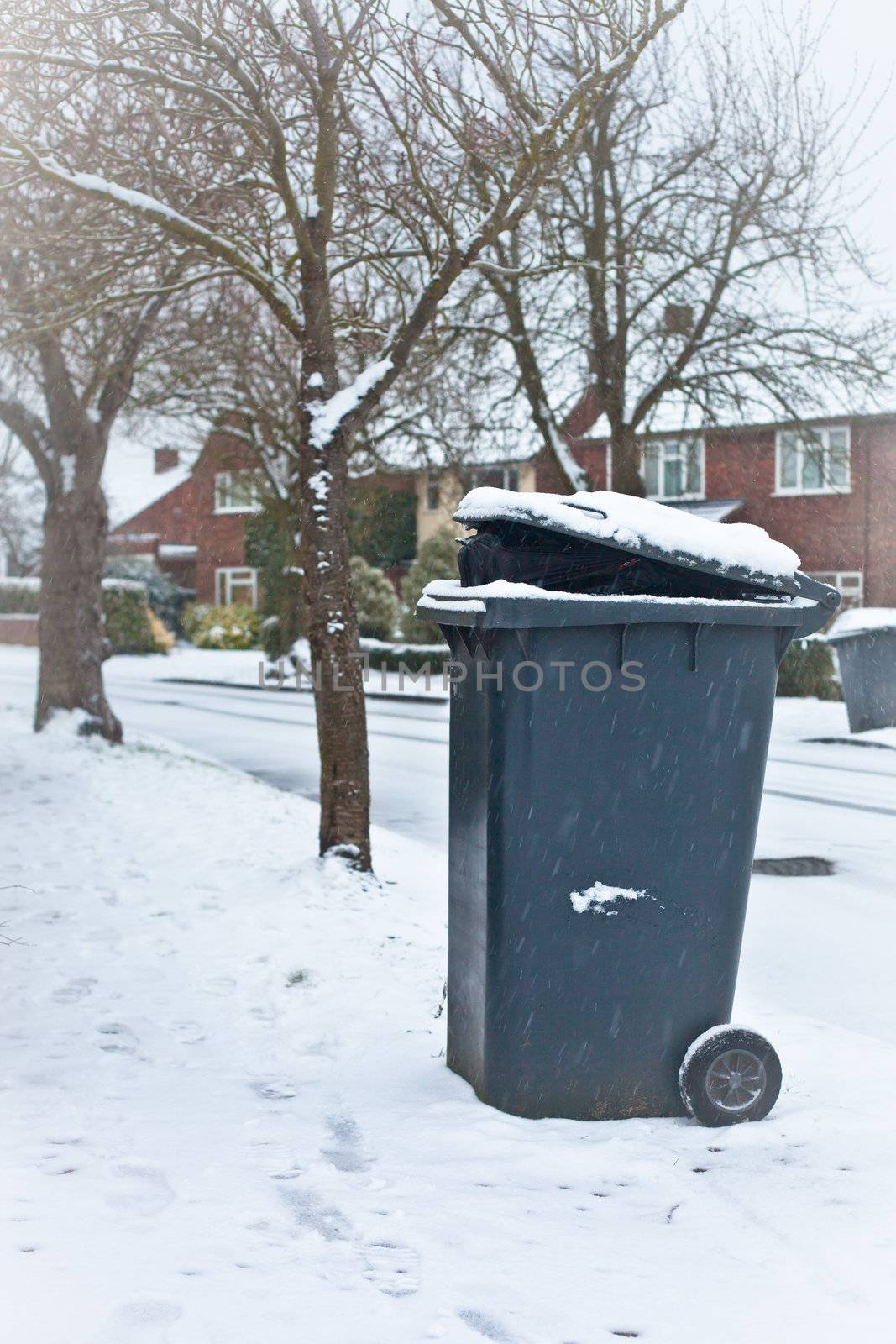 Garbage bin  by trgowanlock