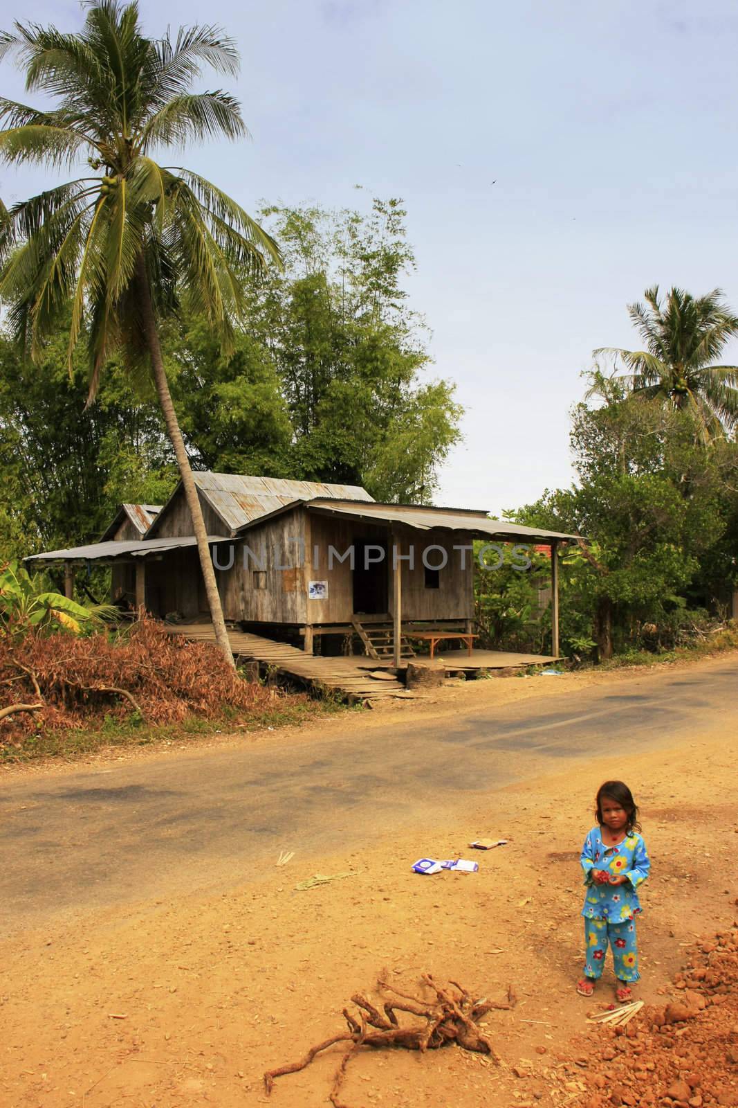 Stilt houses in a small village near Kratie, Cambodia, Southeast Asia