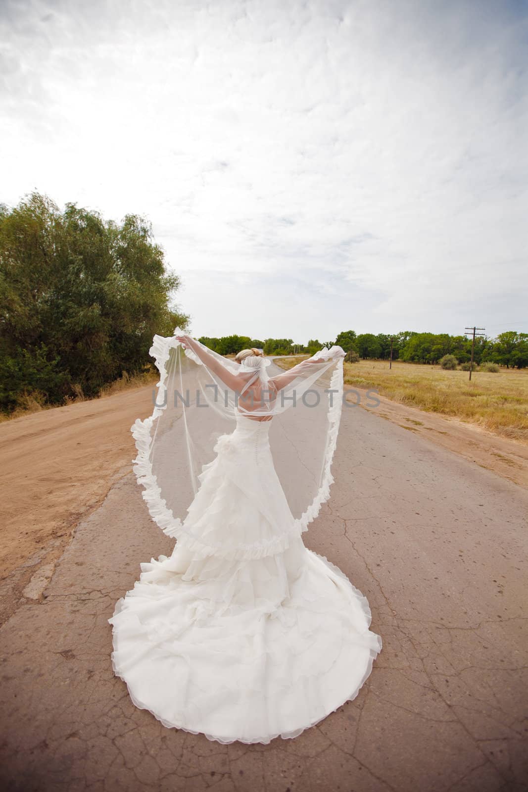 bride on the road by vsurkov