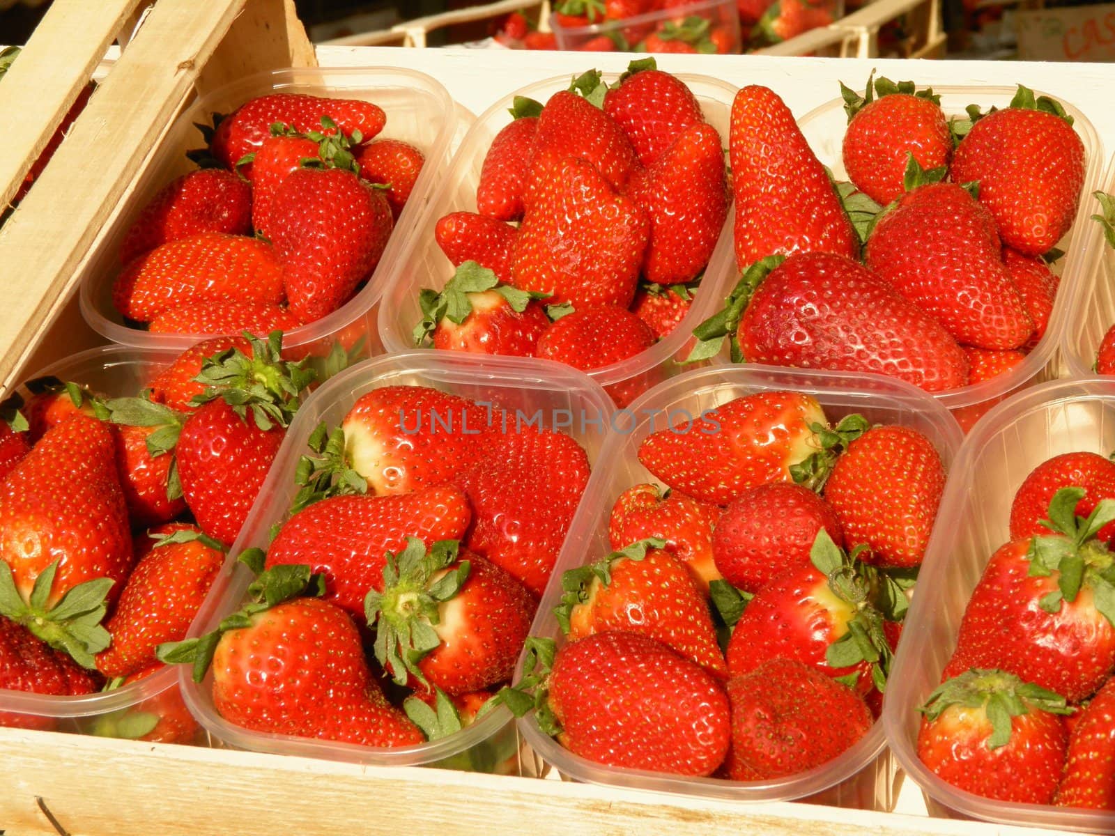 Detail of strawberries in plastic boxes on a market counter
