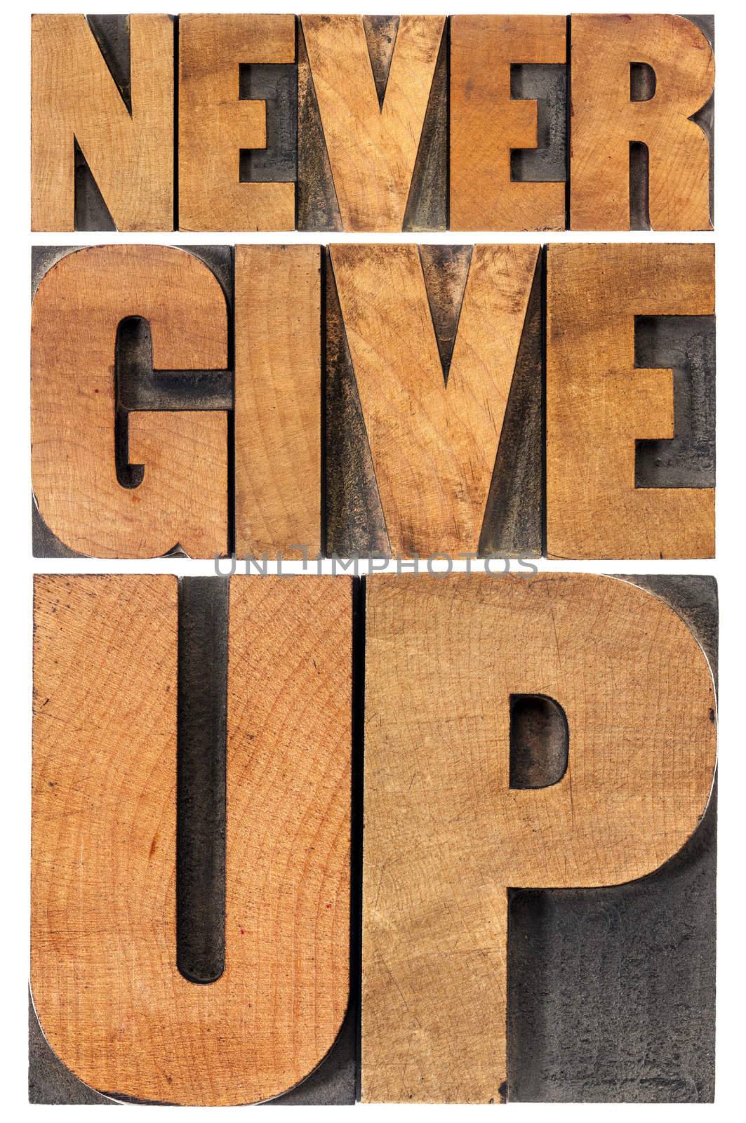 never give up in wood type by PixelsAway
