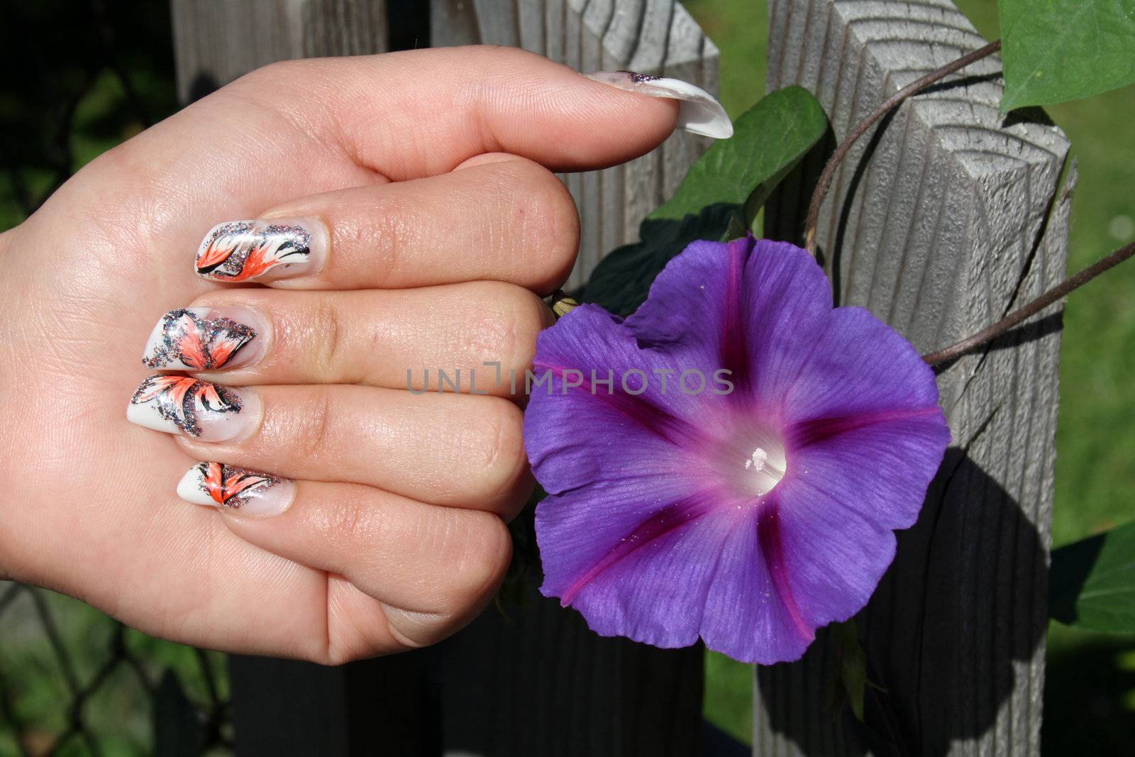 manicure and blue flower  by photochecker