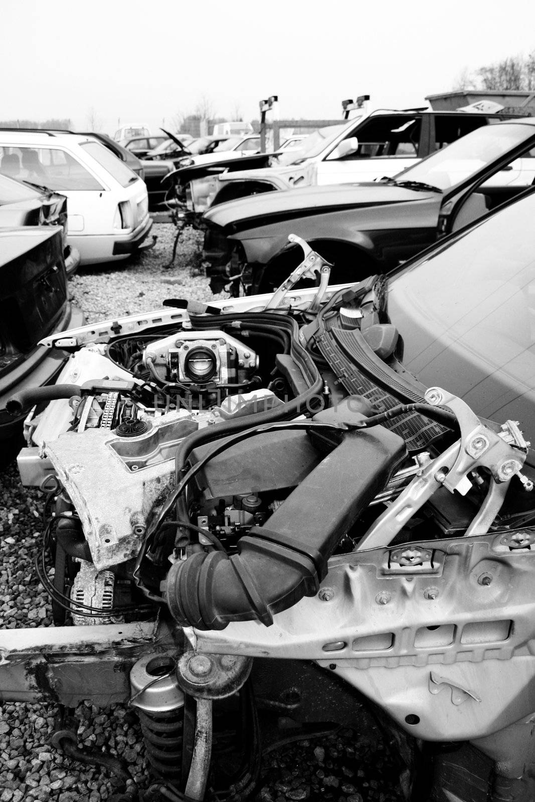 scrap yard for car recycling