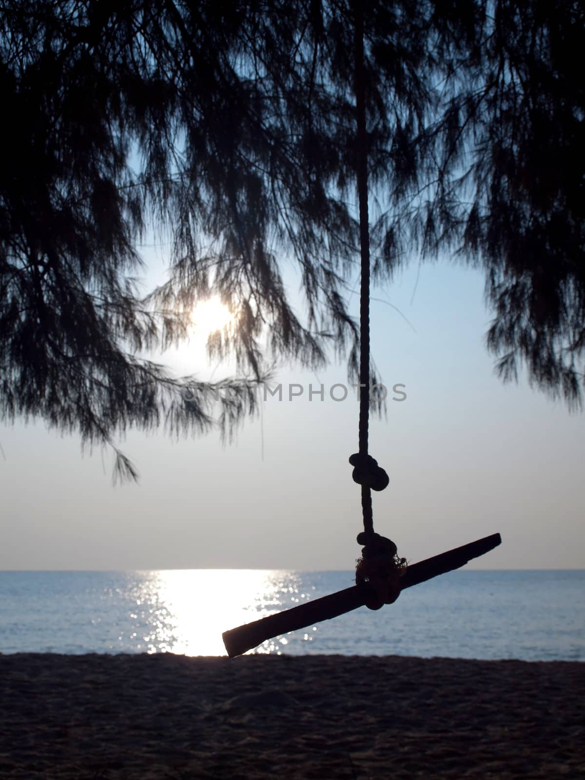 Silhouette swing in shady of pine against beach sea and sun