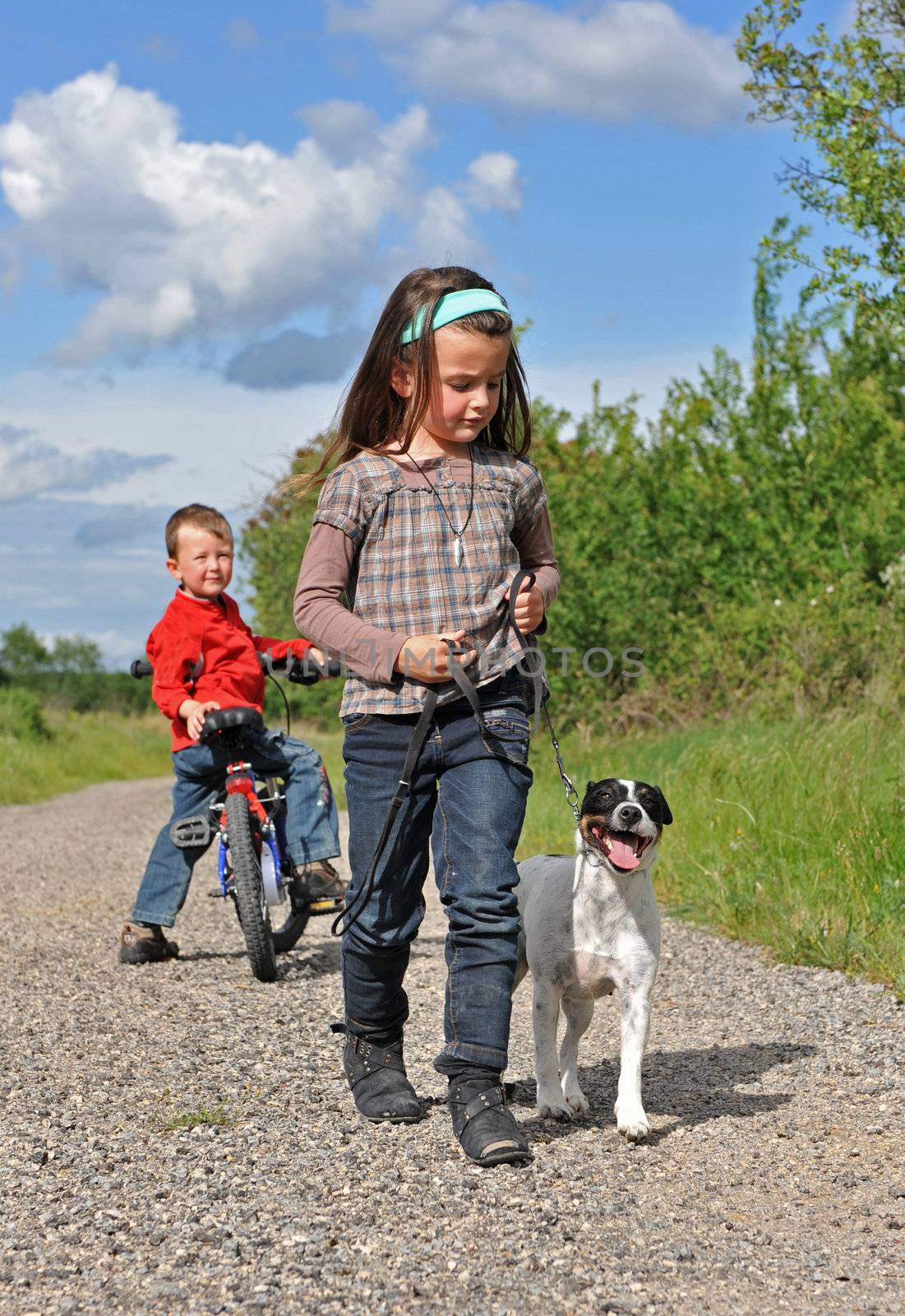 a little girl playing with her jack russel terrier. behind, her brother is with his bicycle
